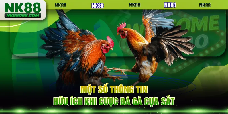 Một số thông tin hữu ích khi cược đá gà cựa sắt